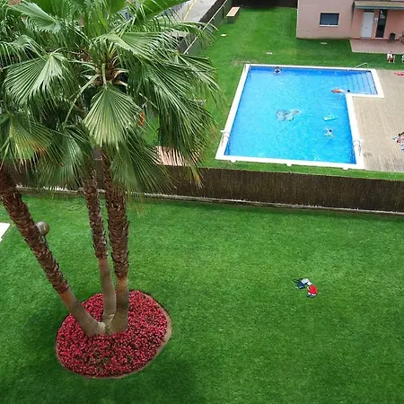 Apartment Camelia